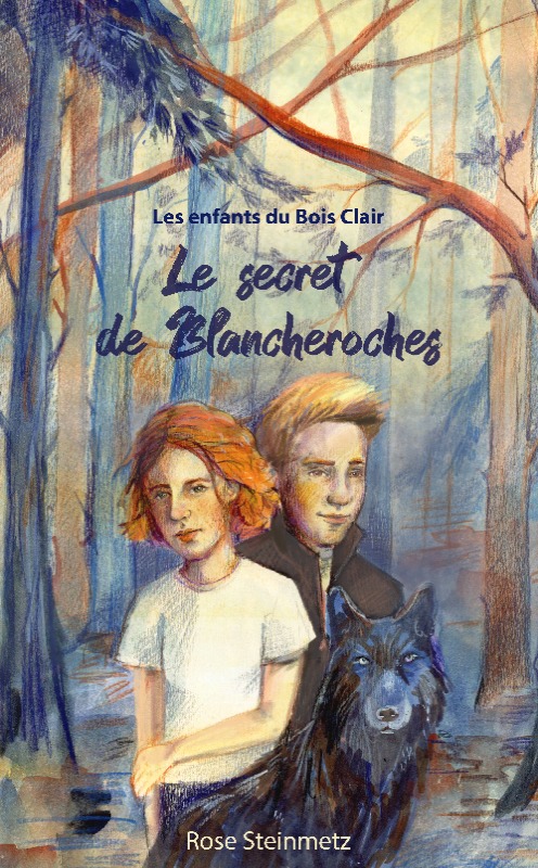 Le secret de Blancheroches